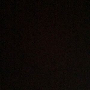 Meet your Posher, Abbey